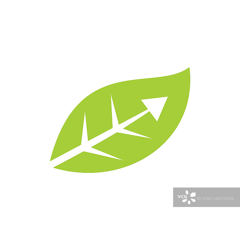 叶子标识设计模板孤立图片素材