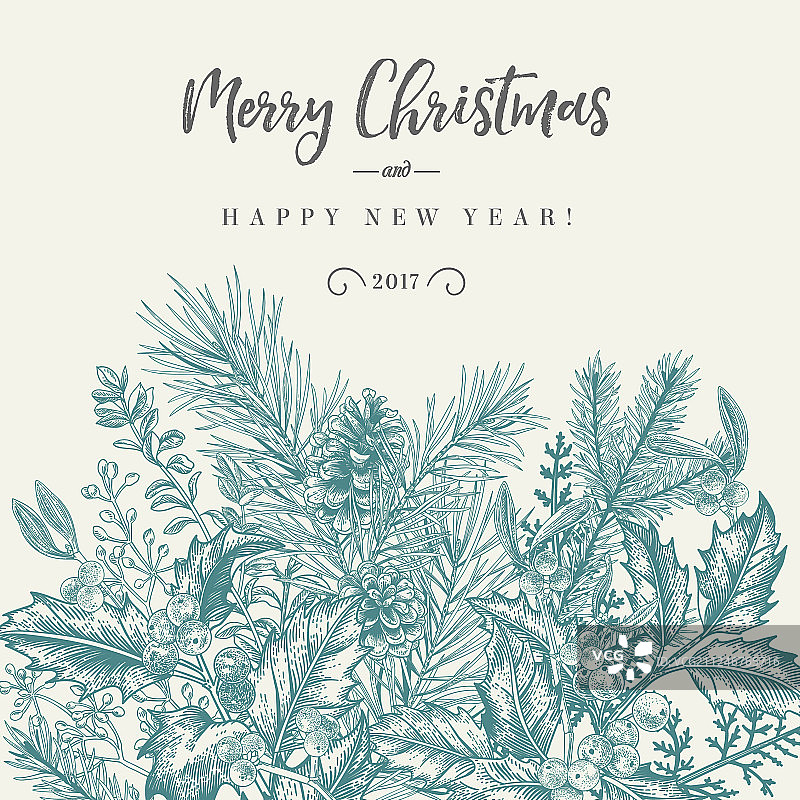 冬季背景：云杉树枝边框图片素材