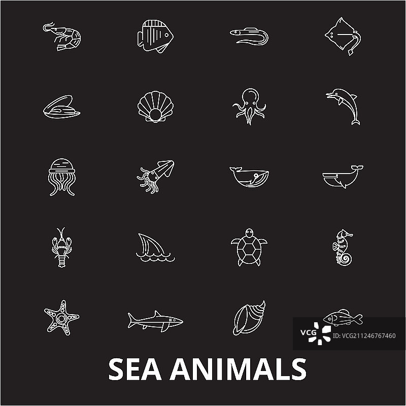 海洋动物可编辑线条图标图片素材
