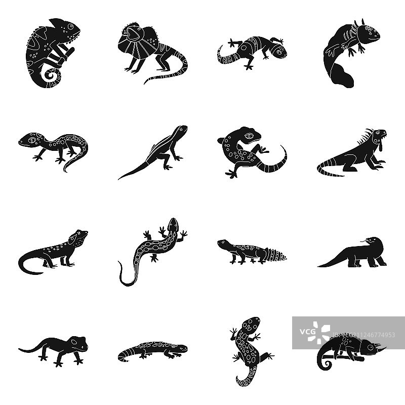 动物园与环境标志集合设计图片素材