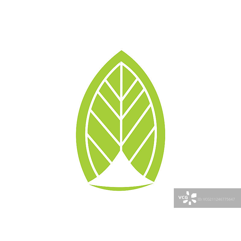 叶子标识设计模板孤立图片素材