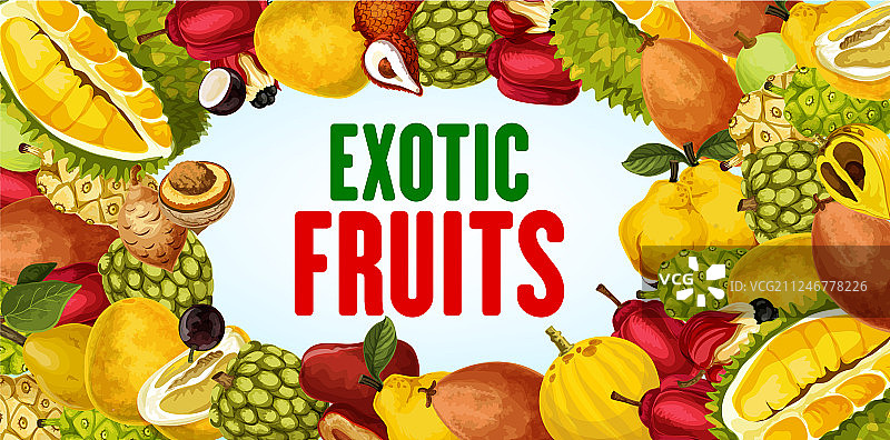 奇异水果和热带浆果边框banner图片素材