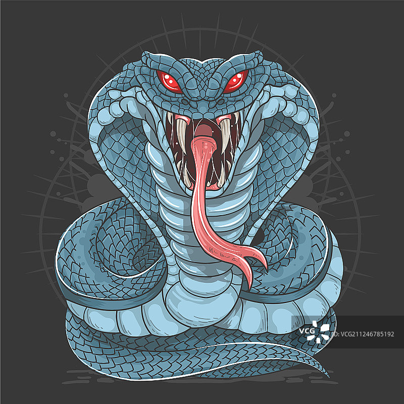 蓝色全身眼镜蛇图片素材