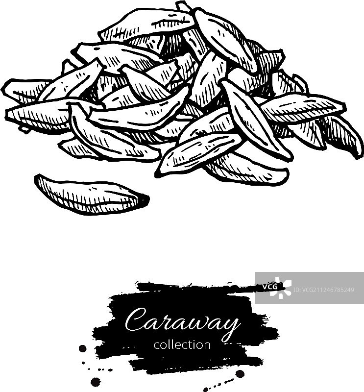 手绘葛缕子籽堆图片素材