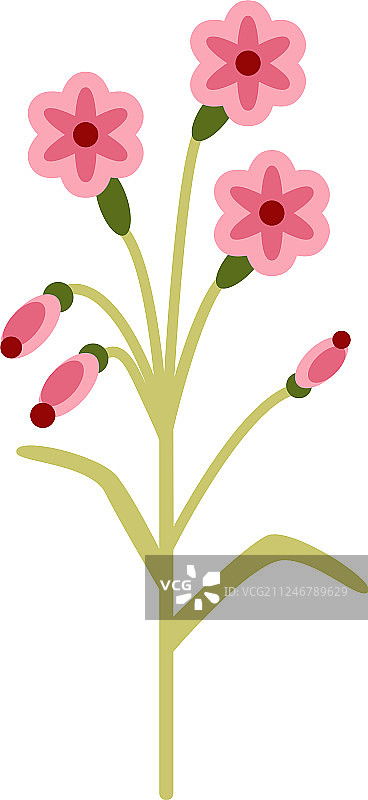 扁平风格的开花山茱萸图片素材