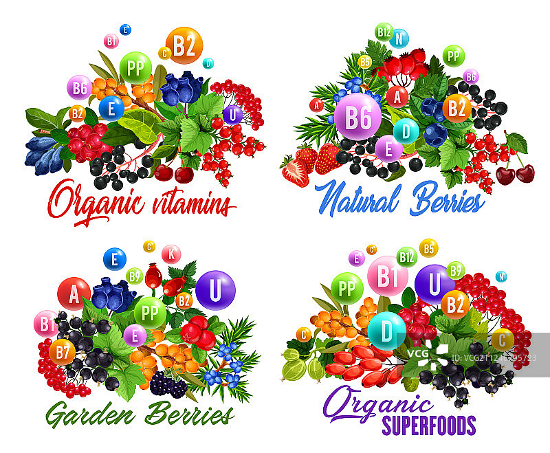 浆果和水果的维生素与健康益处图片素材