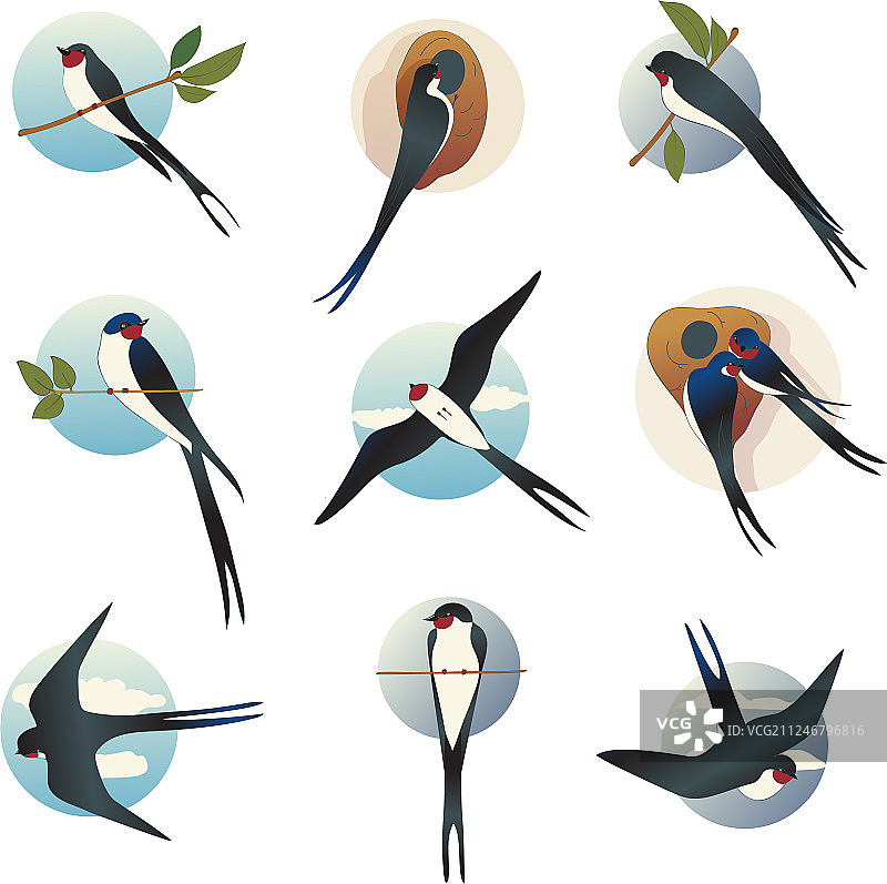 扁平风格的燕雀或家燕图片素材