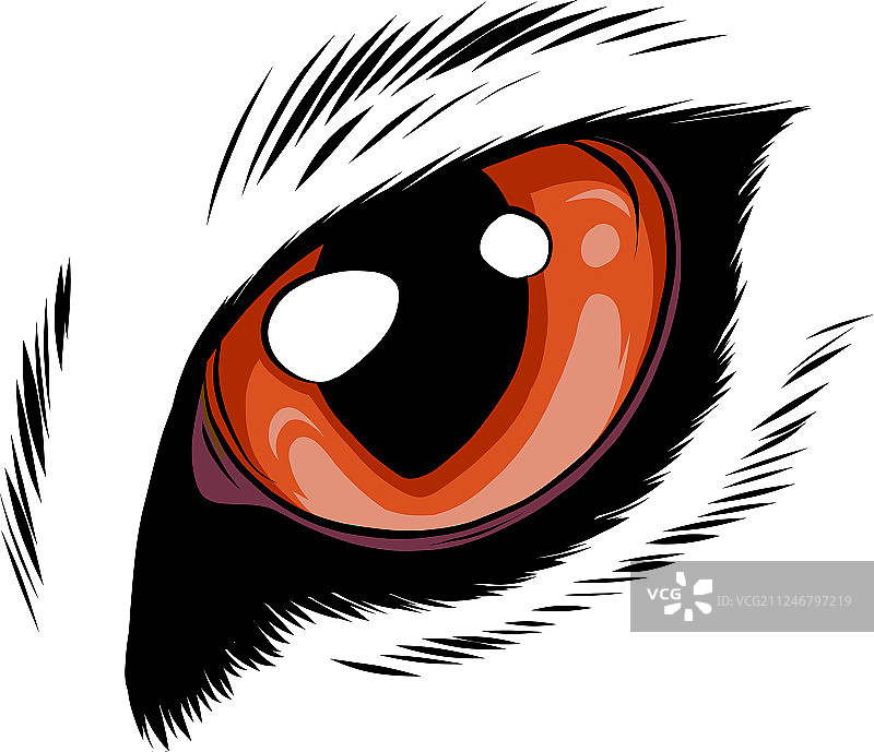 白色背景上隔离的橙色猫眼图片素材