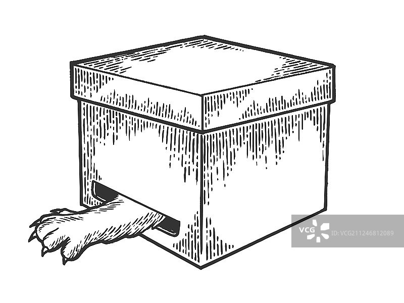 盒子里的猫爪子在洞里素描雕刻图片素材