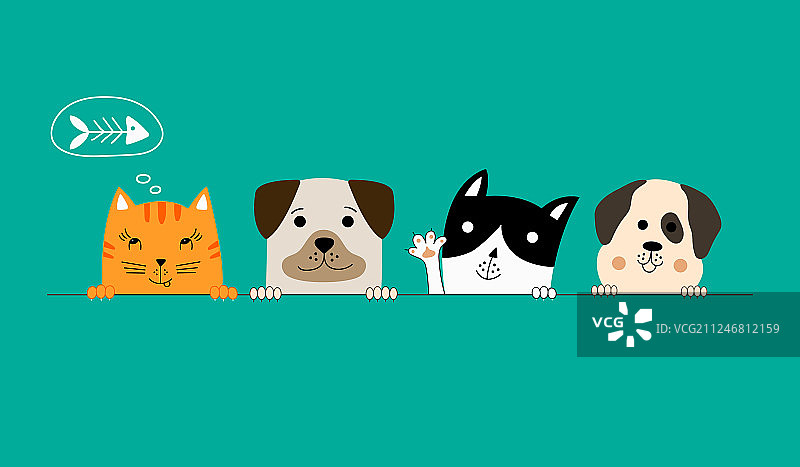 狗狗和猫咪是最好的朋友图片素材