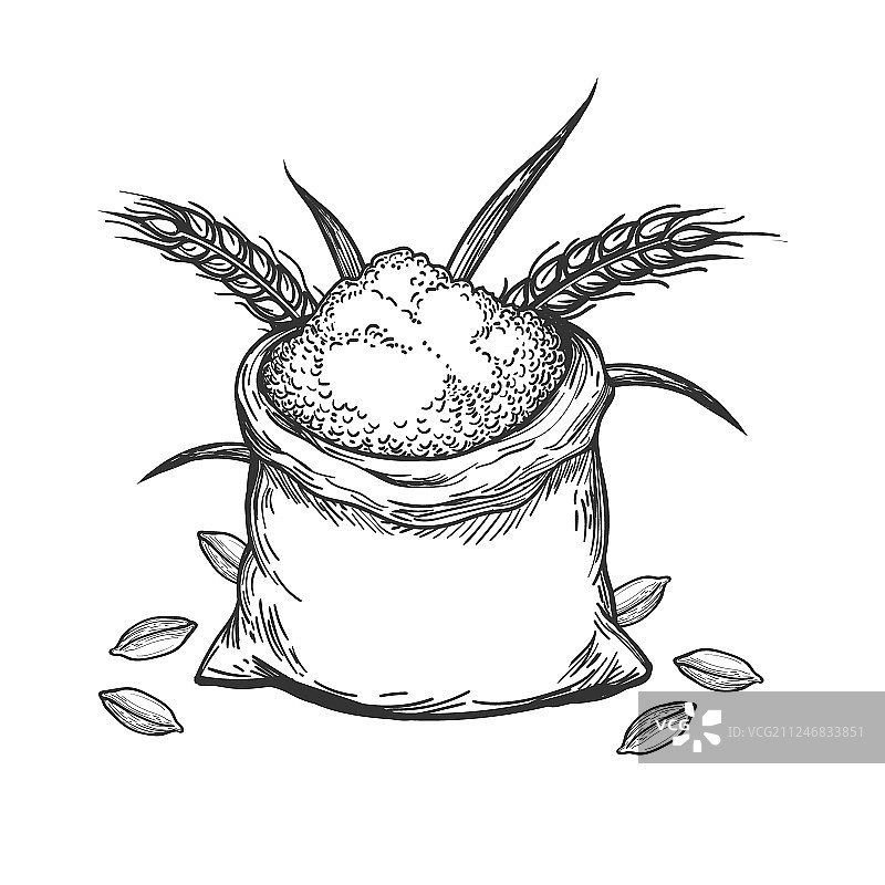 整袋小麦粉手绘图片素材