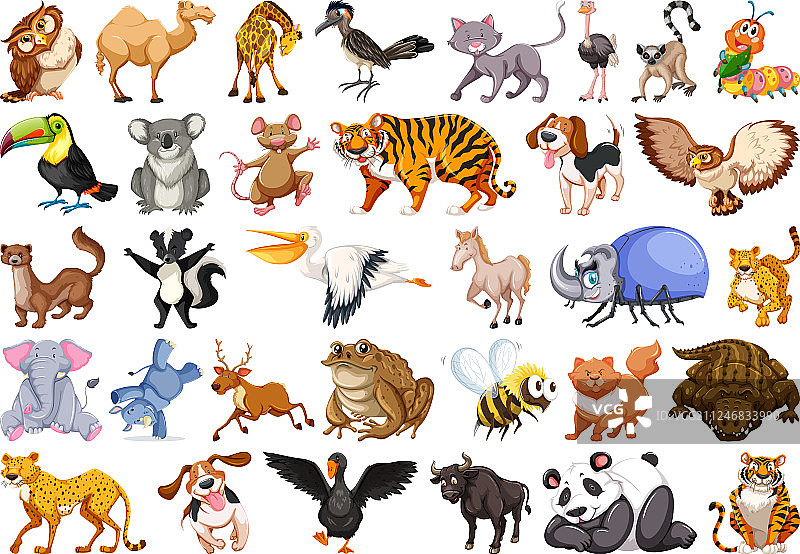 野生动物组合图片素材