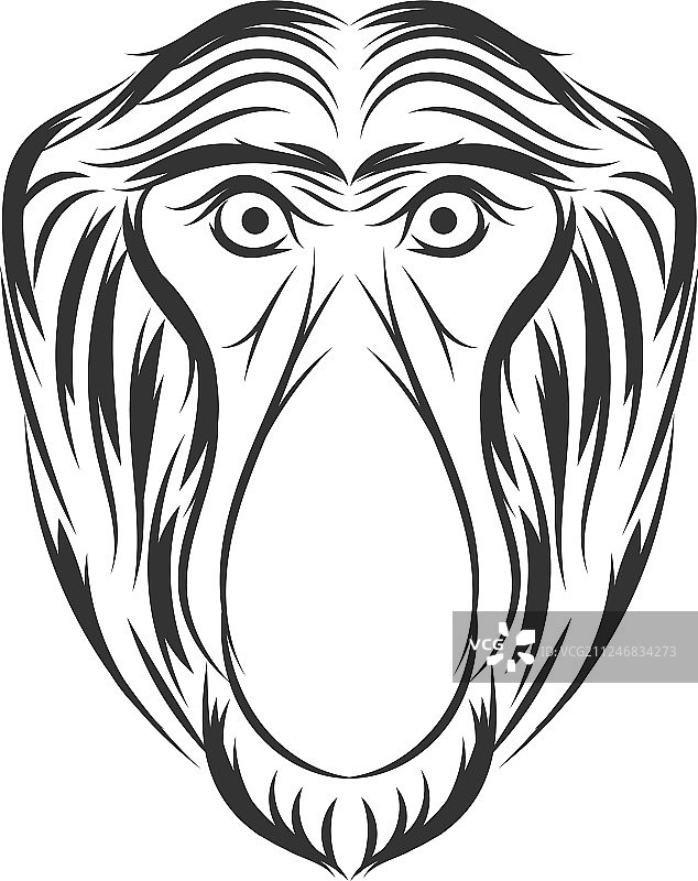 长鼻猴设计图片素材