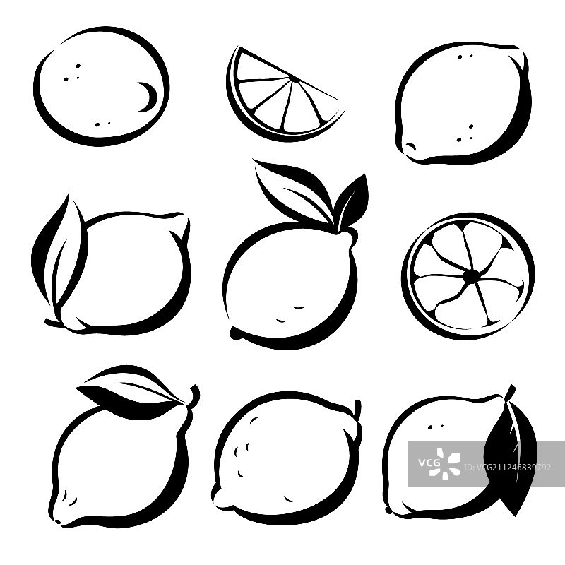 素描风格的柠檬和酸橙符号套装图片素材