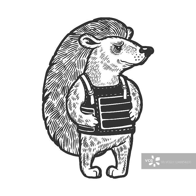 身穿盔甲的刺猬素描图片素材