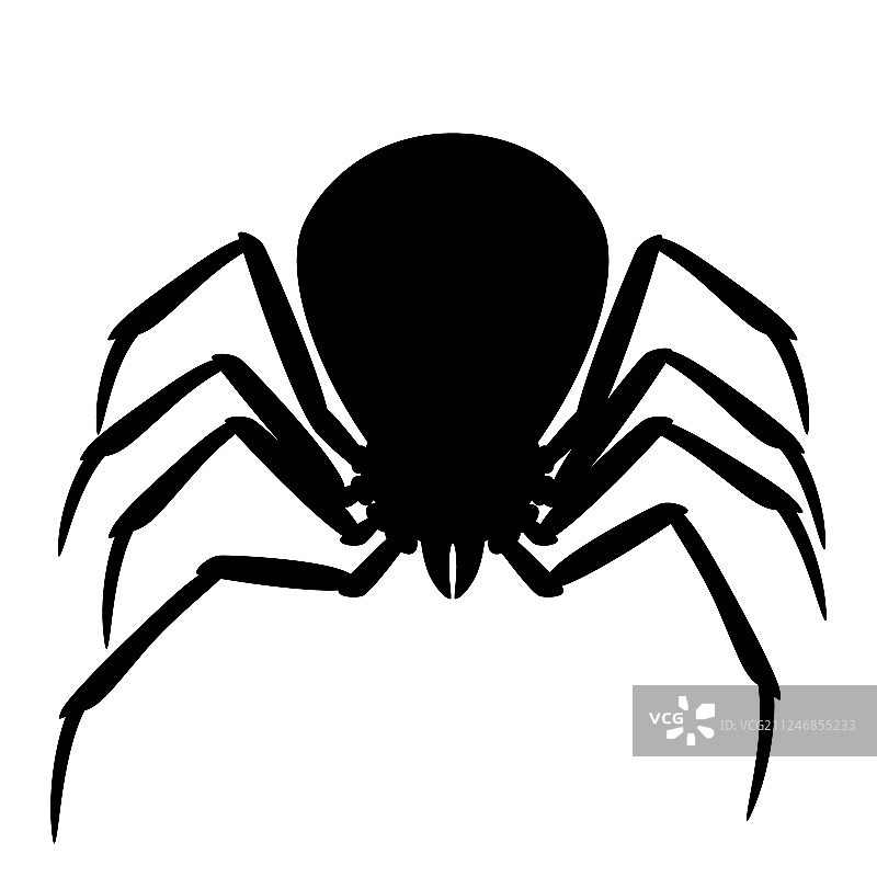 黑寡妇蜘蛛轮廓图片素材