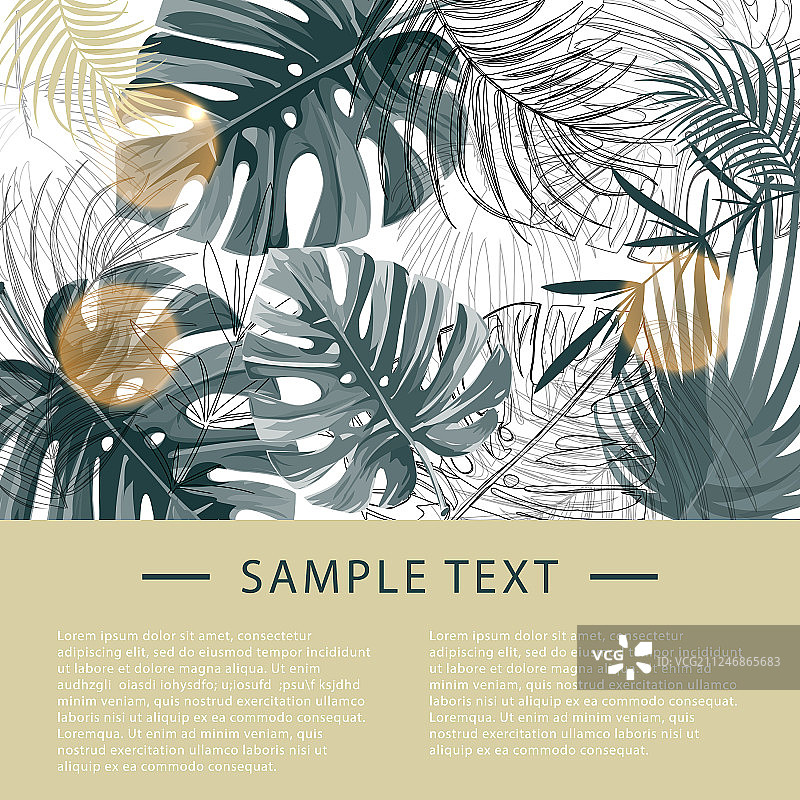 热带植物设计模板图片素材