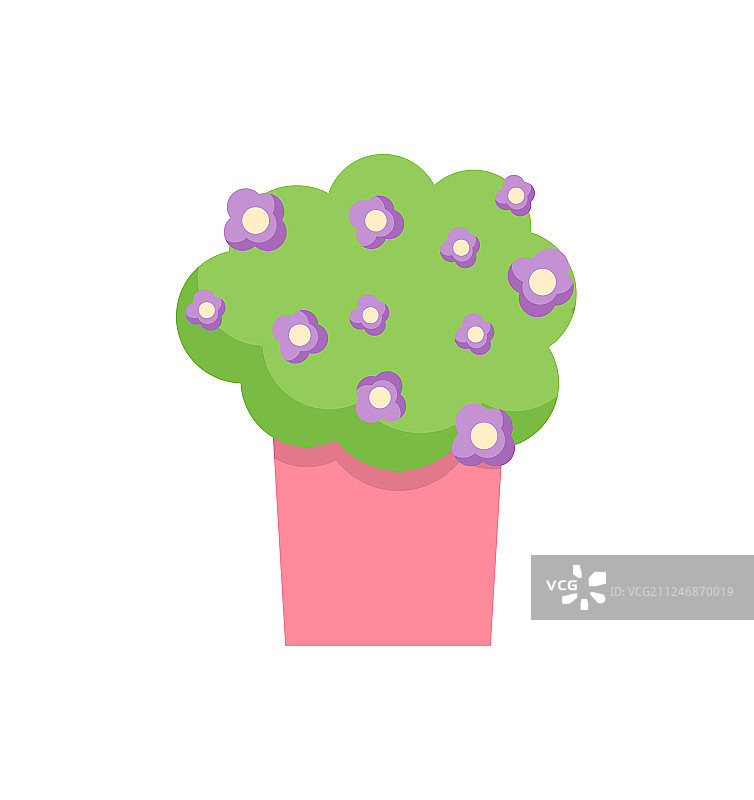 盆栽曼德维拉花卉装饰图片素材