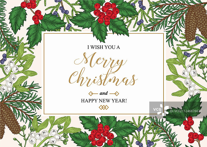 手绘冬季植物圣诞贺卡图片素材