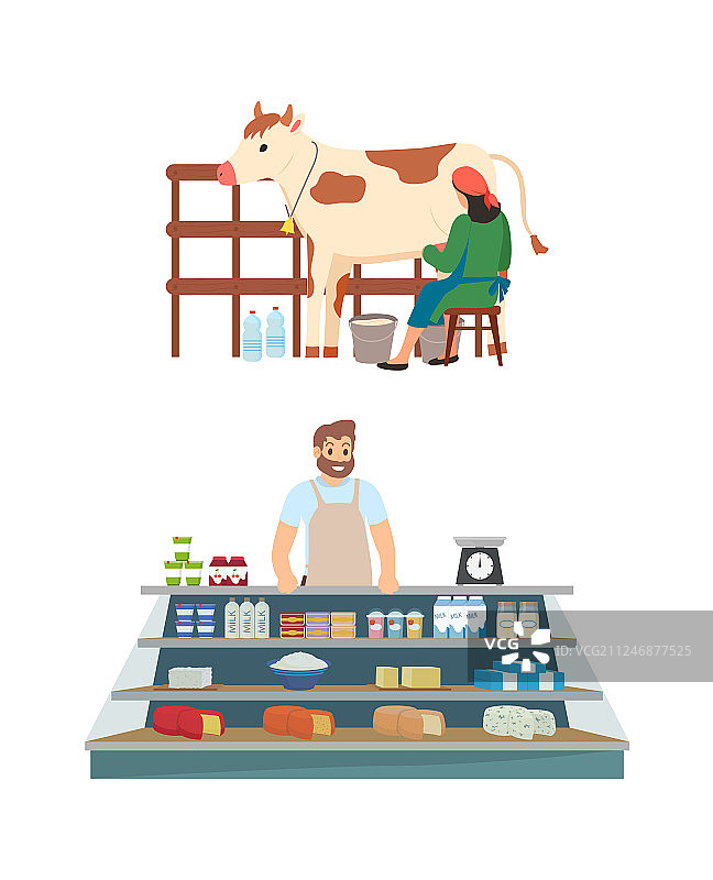 挤奶女工与奶牛市场图片素材