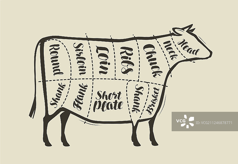 餐厅或肉店的牛肉切块菜单图片素材