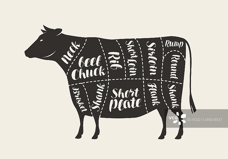 牛肉切割图和肉店图片素材