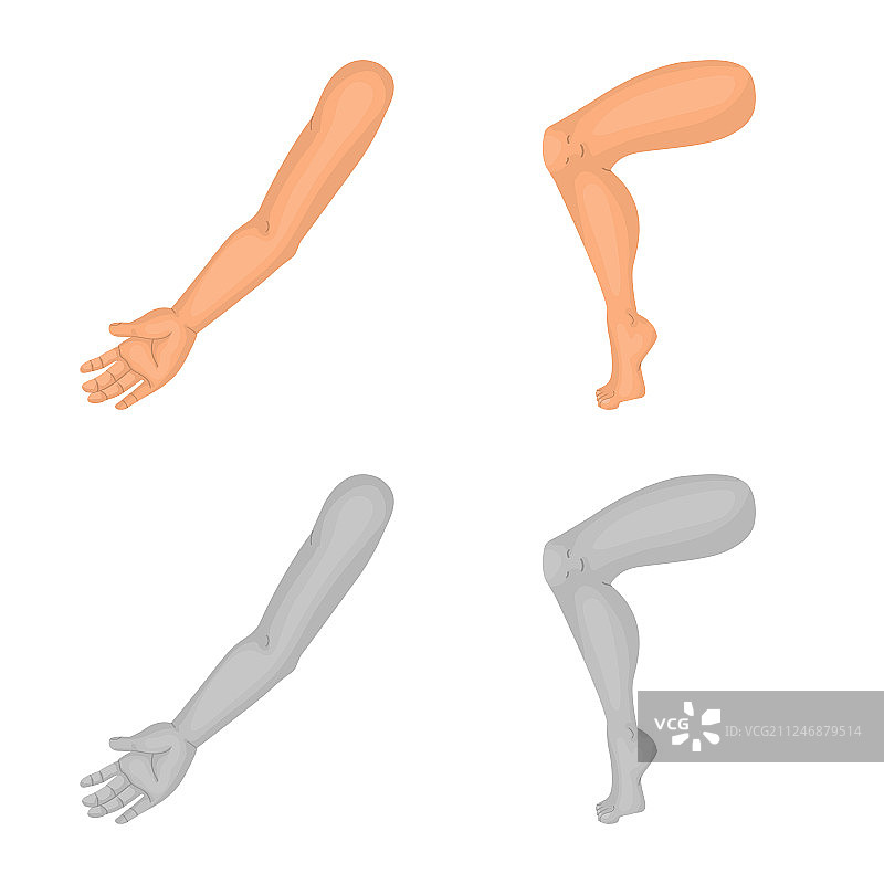 身体部位标志图片素材