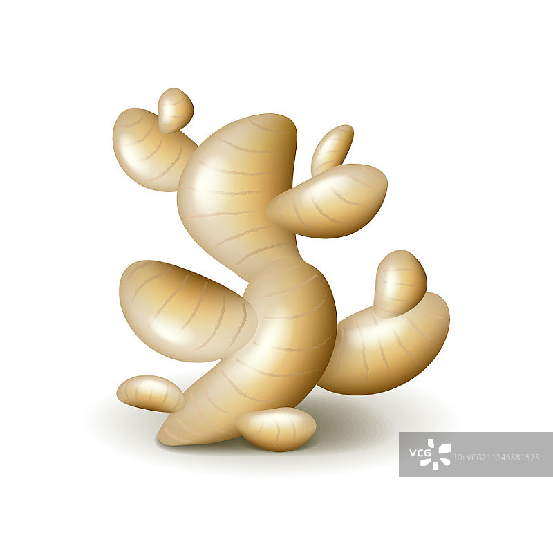 白色背景下的生姜图片素材
