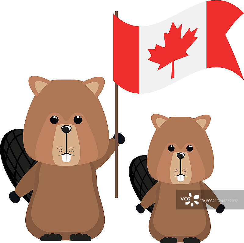 孤立的海狸森林动物设计图片素材