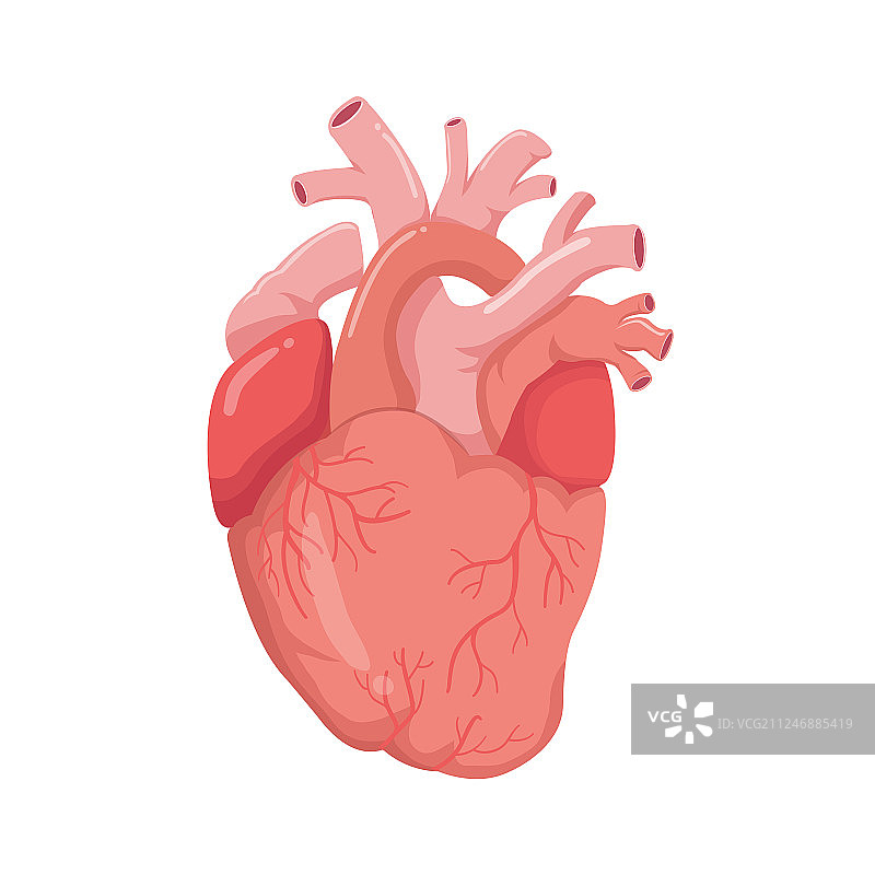 真实的心形样式图片素材