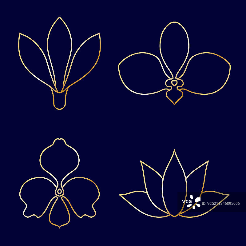 蓝色背景上的花朵线条艺术合集图片素材