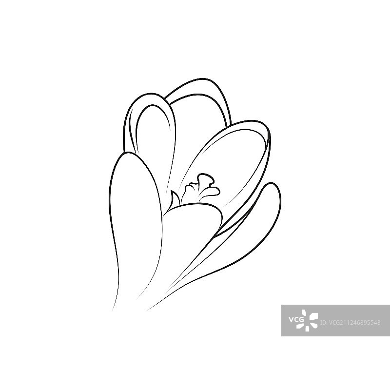 简单的黑色线条番红花图标图片素材