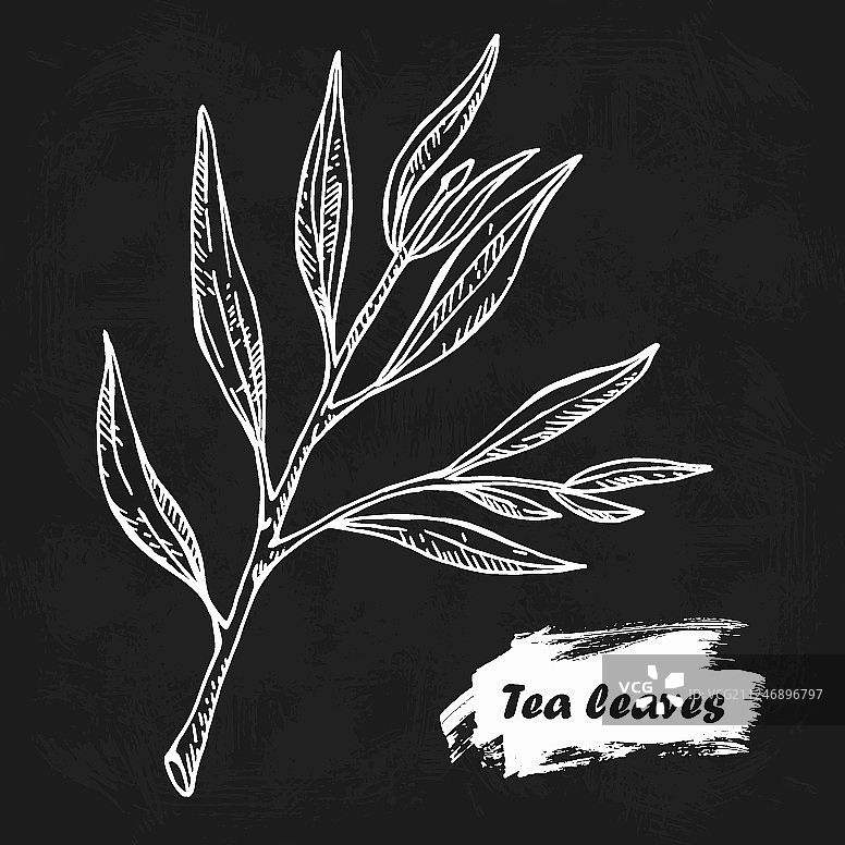 手绘奶酪块草图图片素材