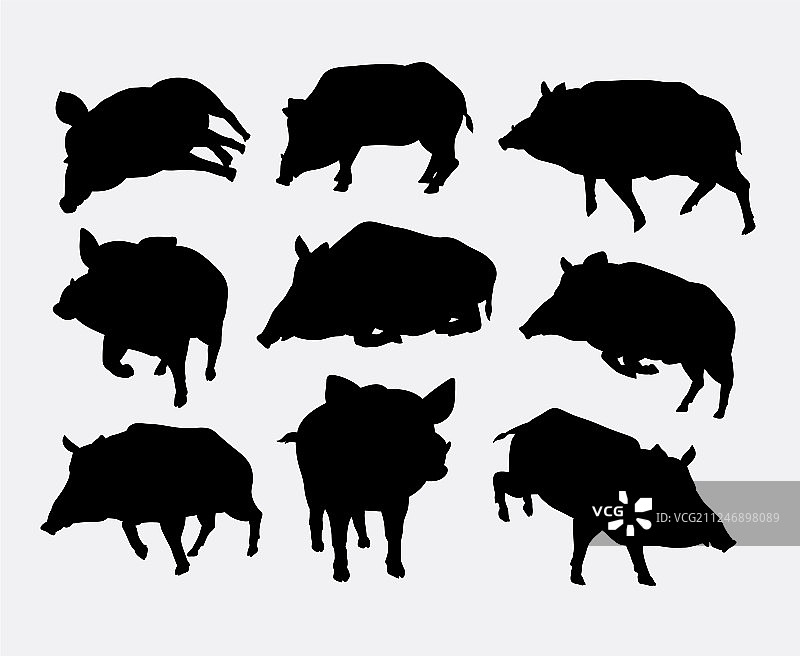 野猪哺乳动物野生动物轮廓图片素材