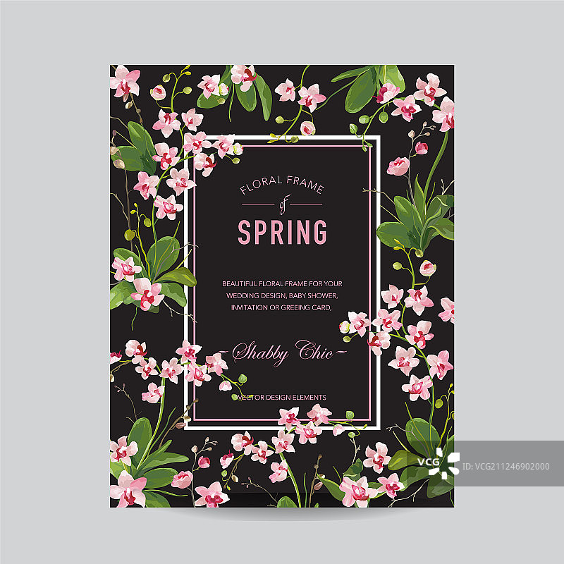 热带棕榈叶与兰花背景图片素材