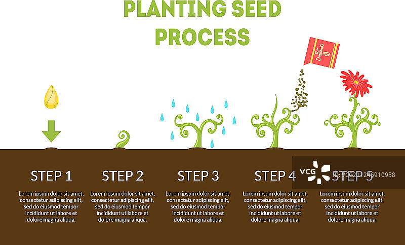 种子种植过程banner生长阶段图片素材