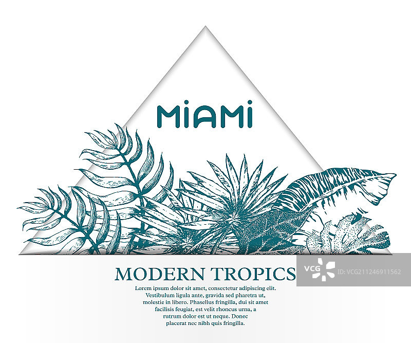 棕榈叶草图11图片素材