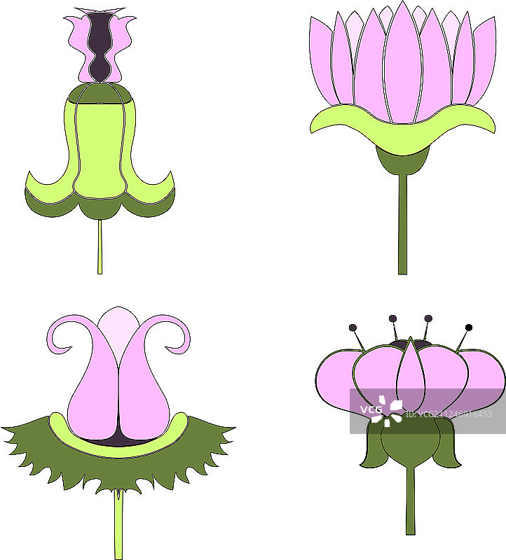 装饰花卉合集图片素材