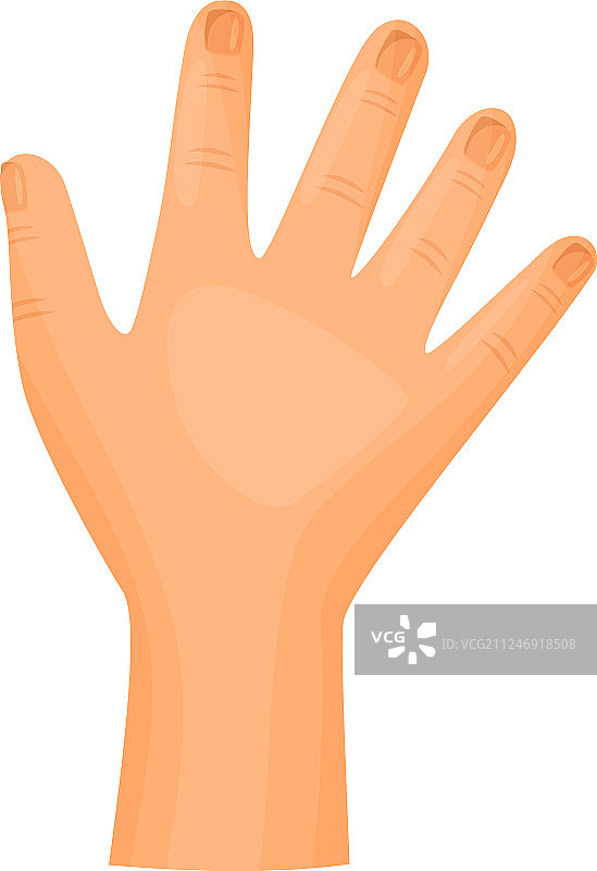 白色背景上的手图片素材