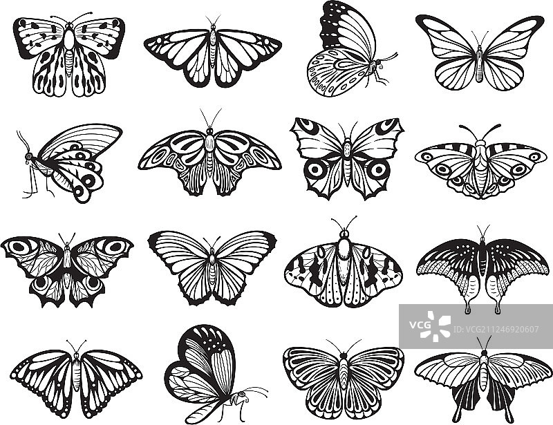 蝴蝶剪影野生动物装饰图案图片素材