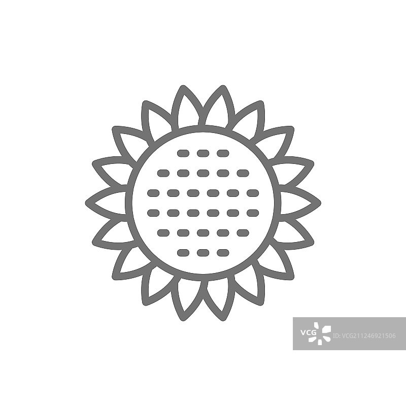 向日葵线条图标图片素材
