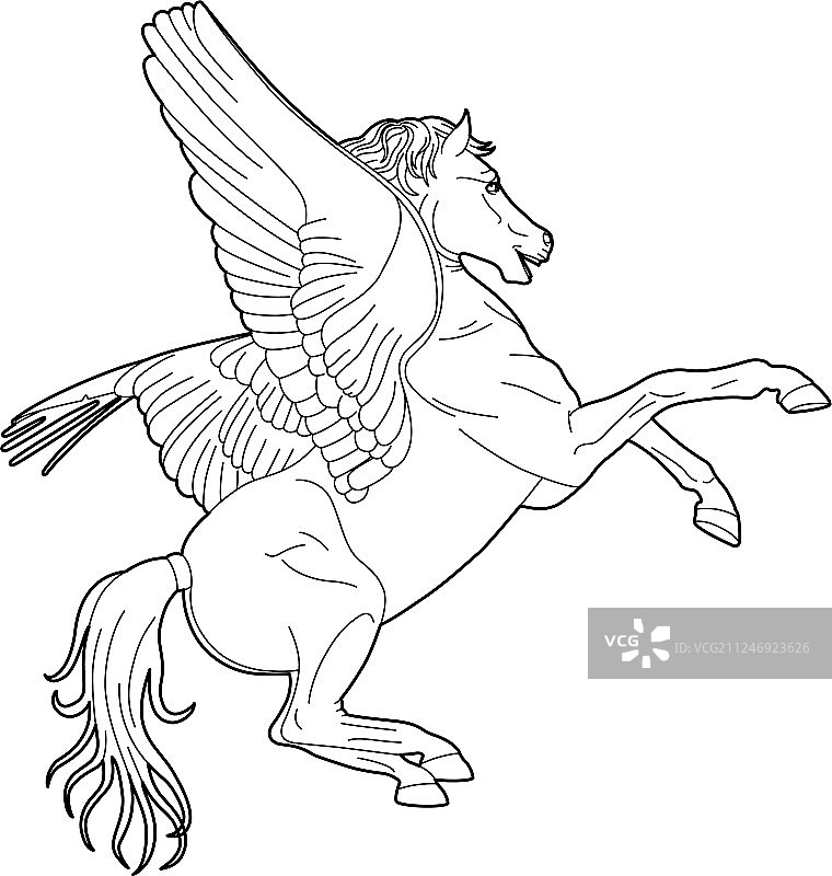 绘制一匹飞马图片素材