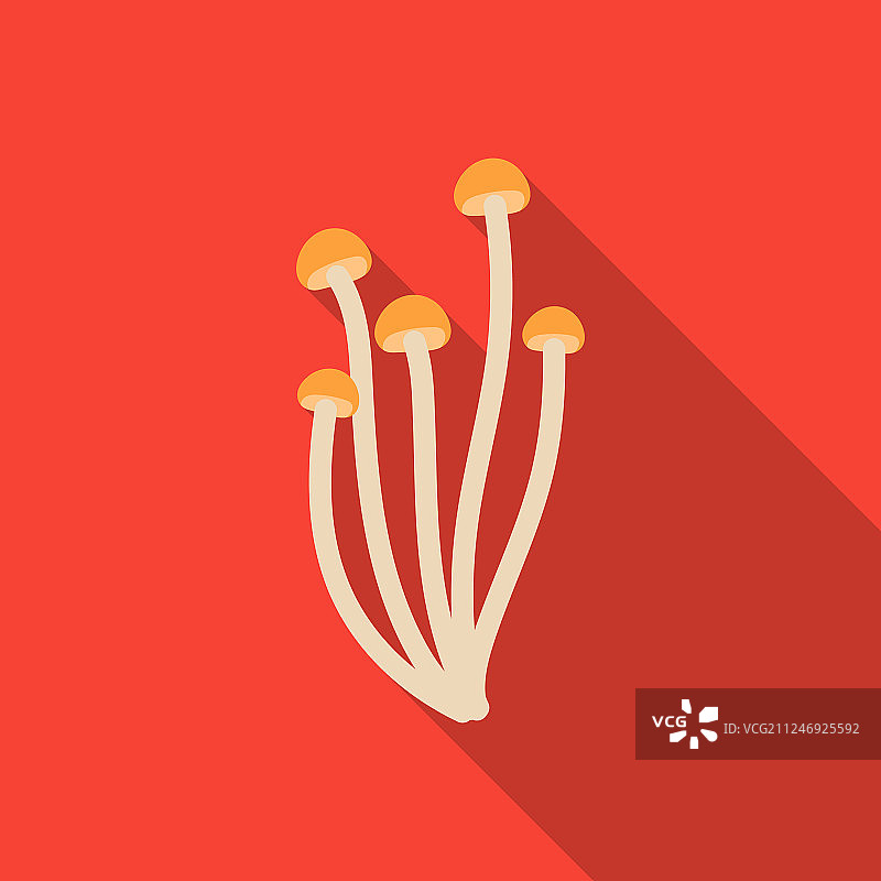 白色背景上的扁平风格金针菇图标图片素材