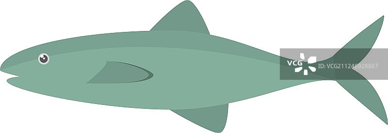 新鲜的三文鱼海鲜图片素材