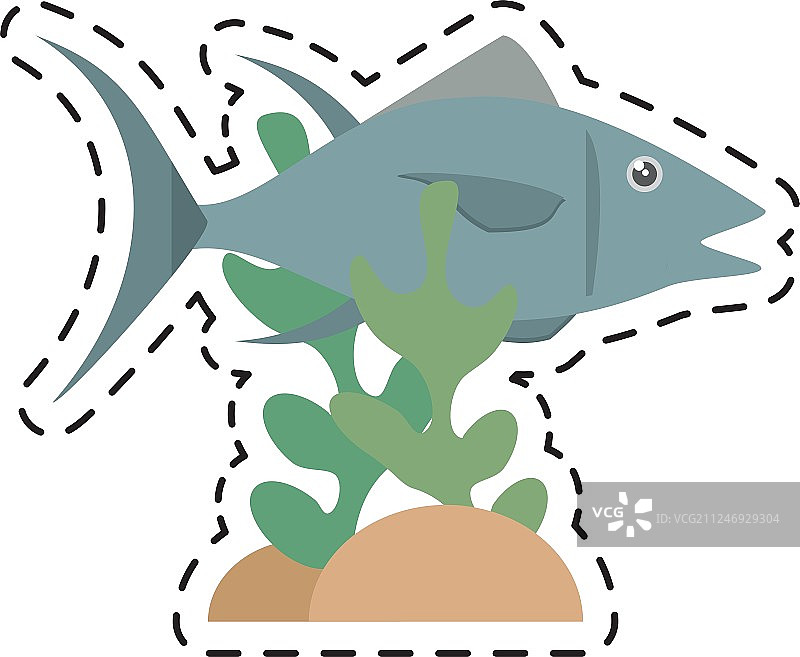 金枪鱼海洋生物食品珊瑚图片素材