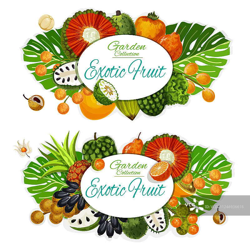 热带异域水果饮品美食图片素材