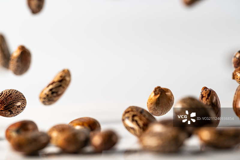 跳跃蓖麻子高速棚拍白底创意摄影广告素材图片素材