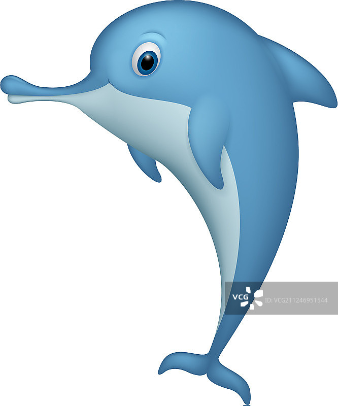 快乐的海豚站在白色背景上图片素材