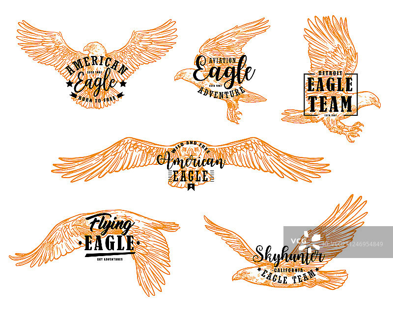 带有文字的老鹰图片素材