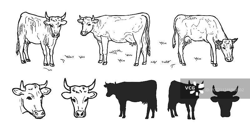 手绘牛群图片素材